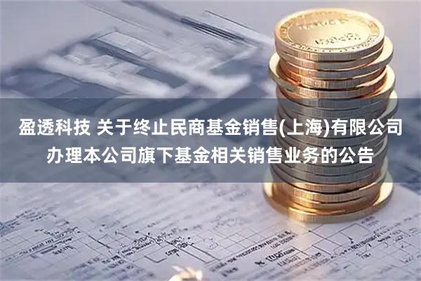 盈透科技 关于终止民商基金销售(上海)有限公司办理本公司旗下基金相关销售业务的公告