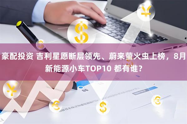 豪配投资 吉利星愿断层领先、蔚来萤火虫上榜，8月新能源小车TOP10 都有谁？