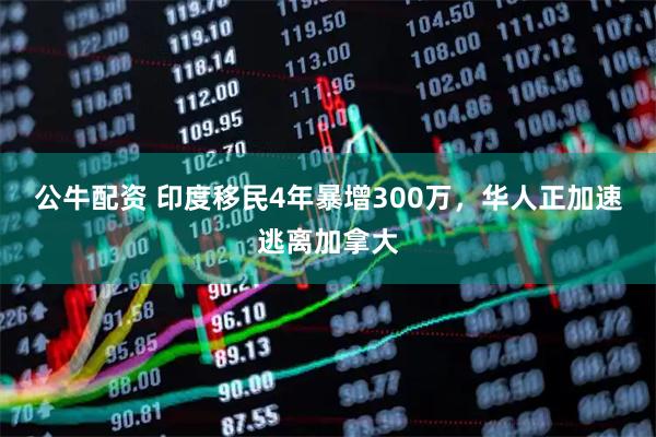 公牛配资 印度移民4年暴增300万，华人正加速逃离加拿大