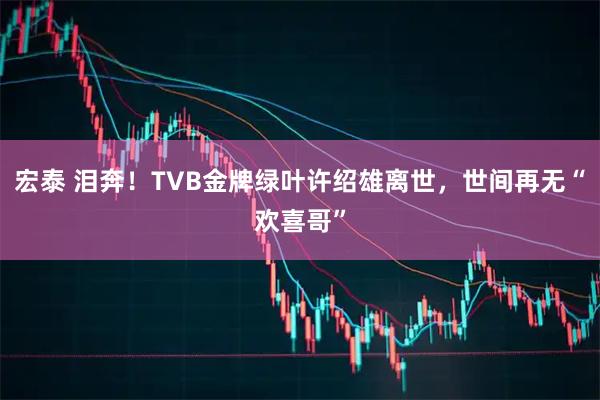 宏泰 泪奔！TVB金牌绿叶许绍雄离世，世间再无“欢喜哥”