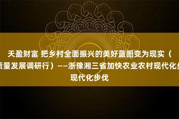 天盈财富 把乡村全面振兴的美好蓝图变为现实（高质量发展调研行）——浙豫湘三省加快农业农村现代化步伐