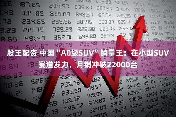 股王配资 中国“A0级SUV”销量王：在小型SUV赛道发力，月销冲破22000台